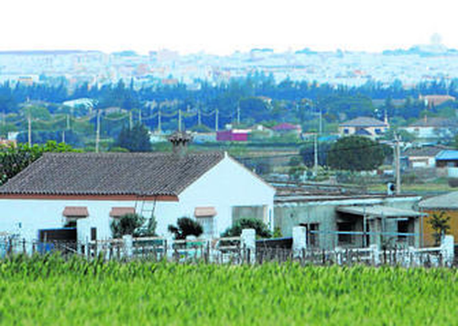 Vista de una zona del diseminado del término chiclanero.