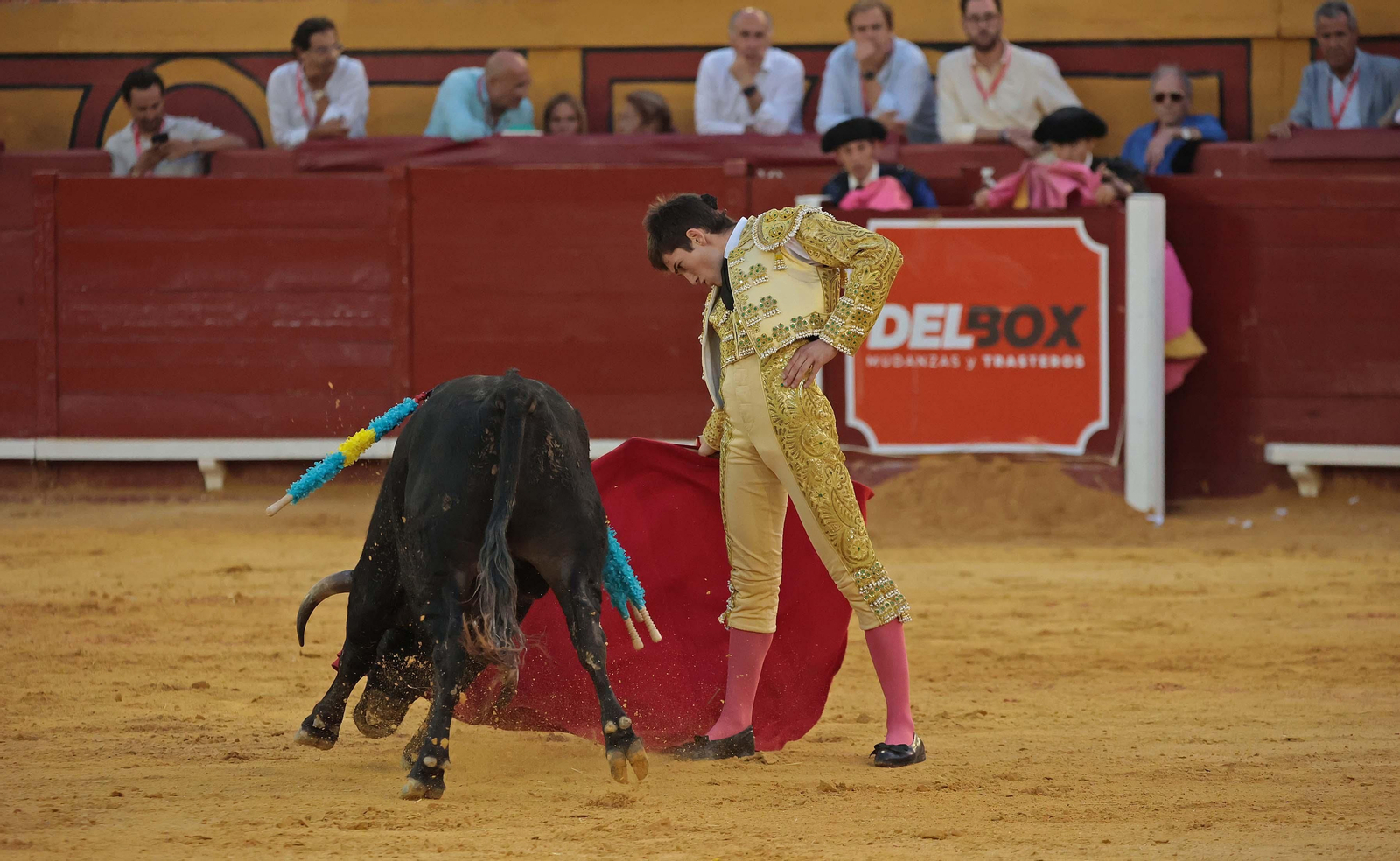 Miguel Vázquez  (3).jpg