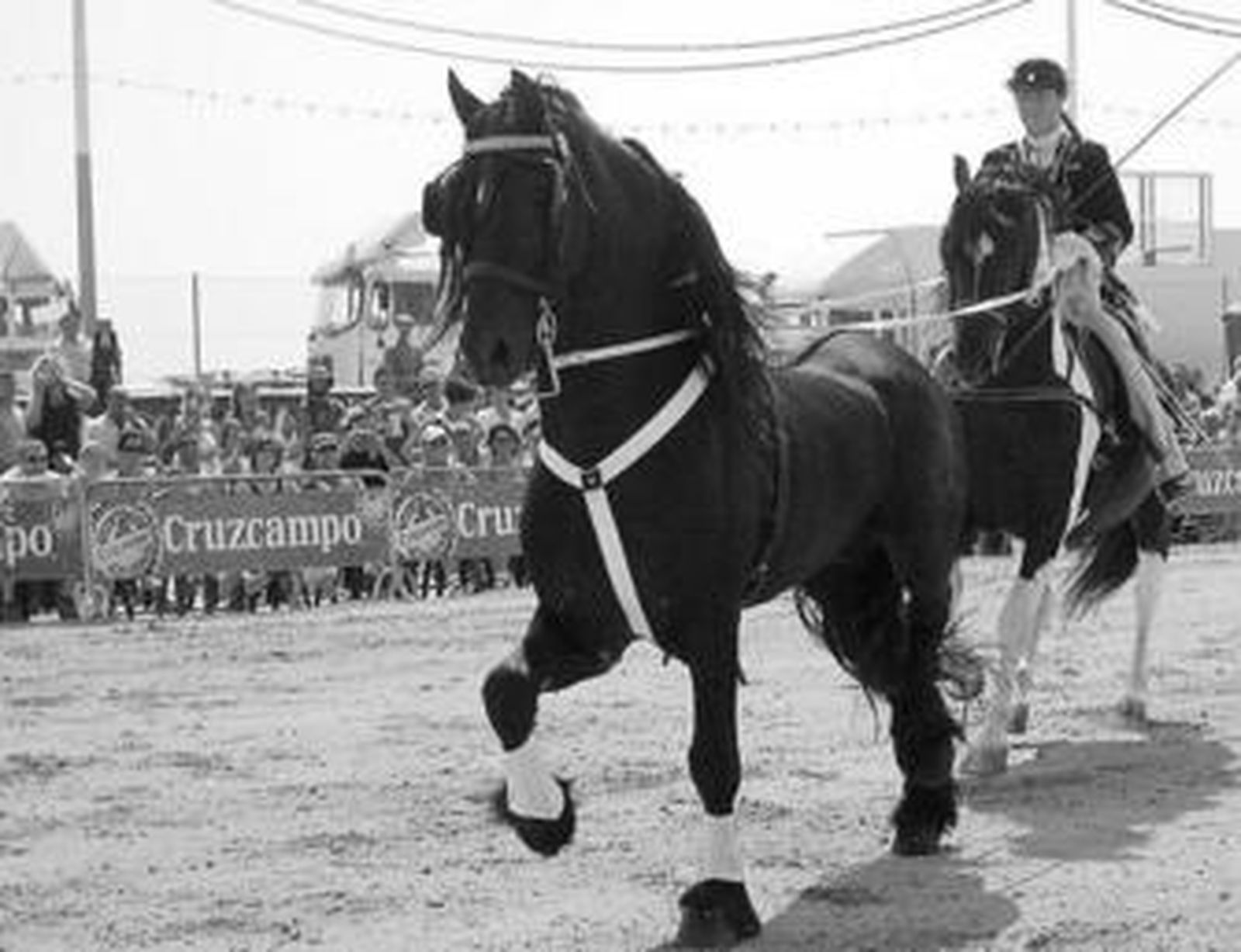 Paseo a caballo en el recinto ferial de Los Bateles.