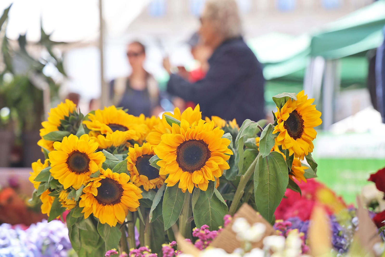 Imágenes del mercado floral ubicado en la Plaza de las Monjas de Huelva