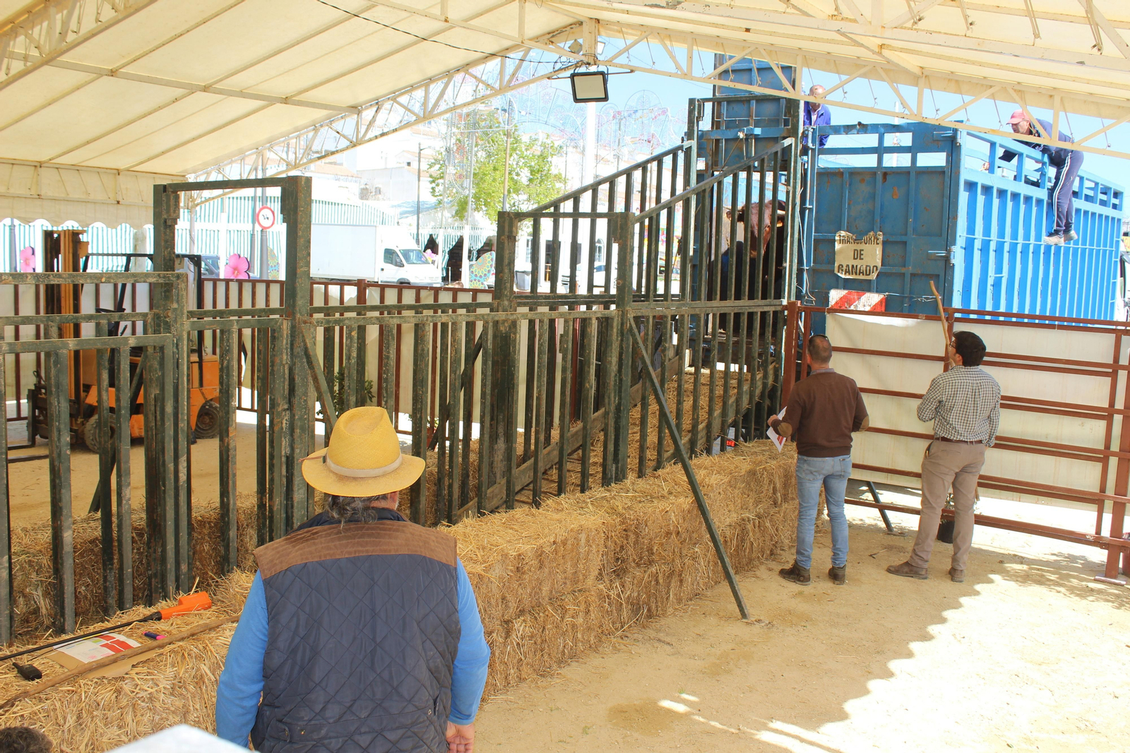 Jueves de feria de Vejer, en imágenes