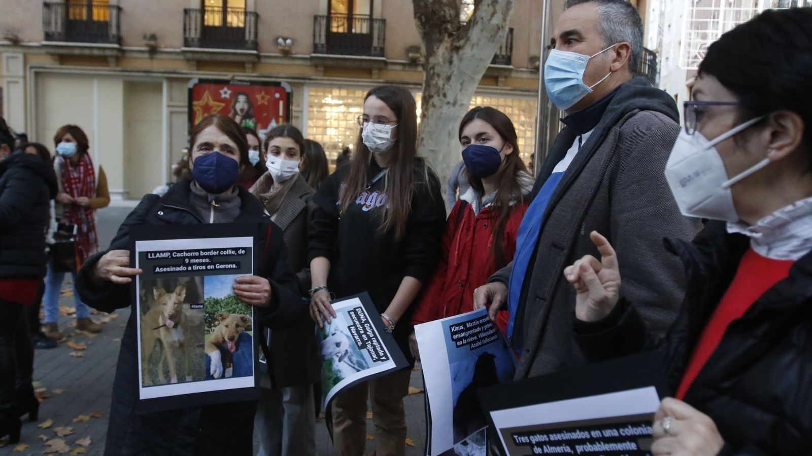 Activistas portan carteles de perros que han sufrido maltrato en las últimas semanas.