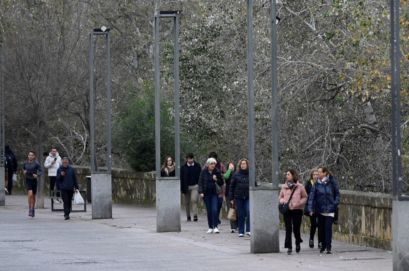 Un paseo en imágenes por la Ribera de Córdoba una gélida mañana