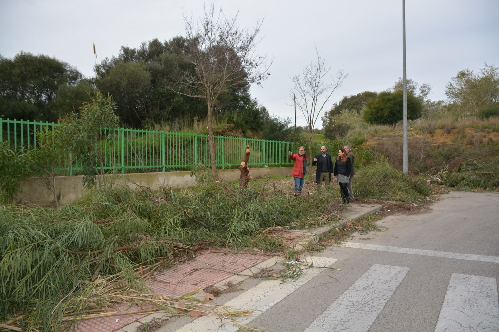 San Roque desbroza las zonas verdes del polígono de Guadarranque