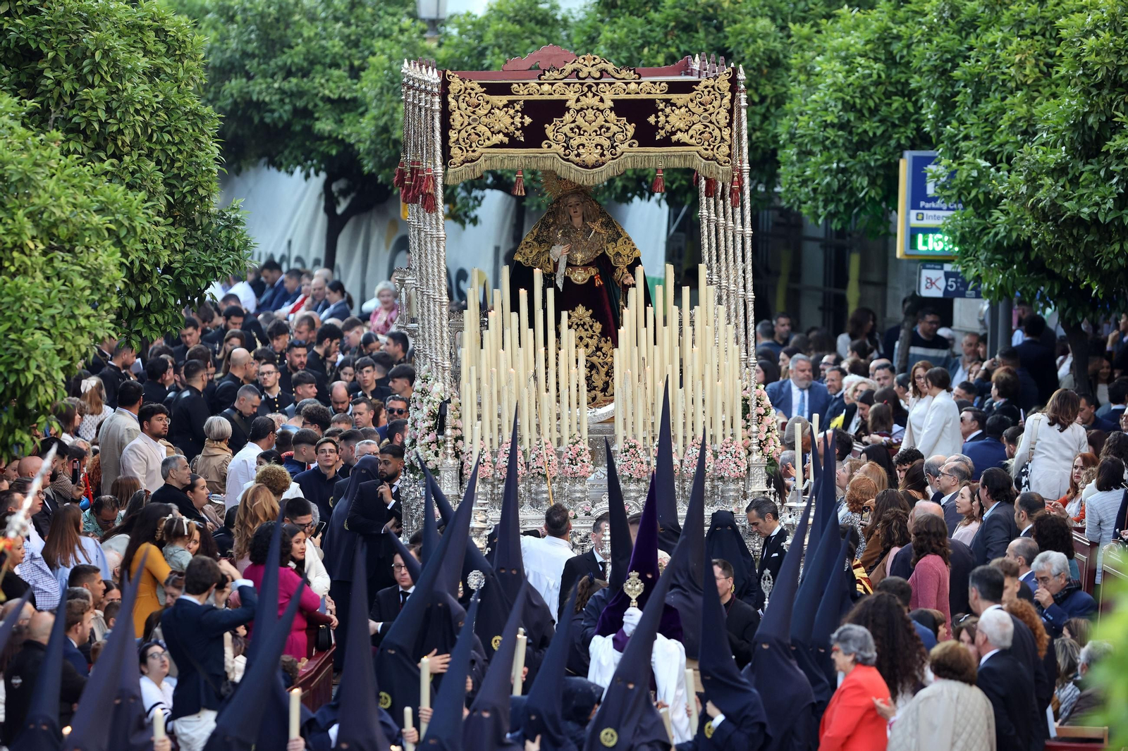 Imágenes de la Hermandad del Perdón en el Domingo de Ramos de Jerez 2025