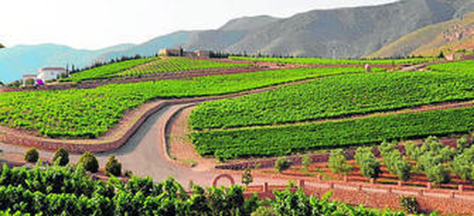 Carlos Bertomeu visita las instalaciones de Bodegas Ánfora