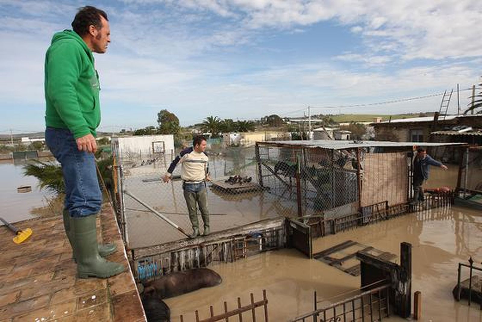 Aspecto de varias granjas de Las Pachecas.

Foto: Juan Carlos Toro