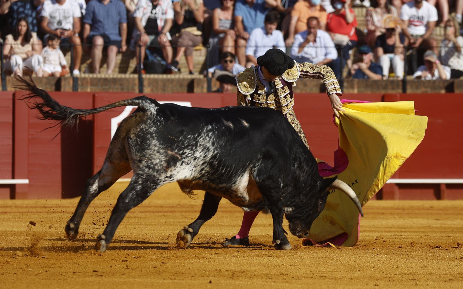 Las imágenes de la novillada en la Maestranza