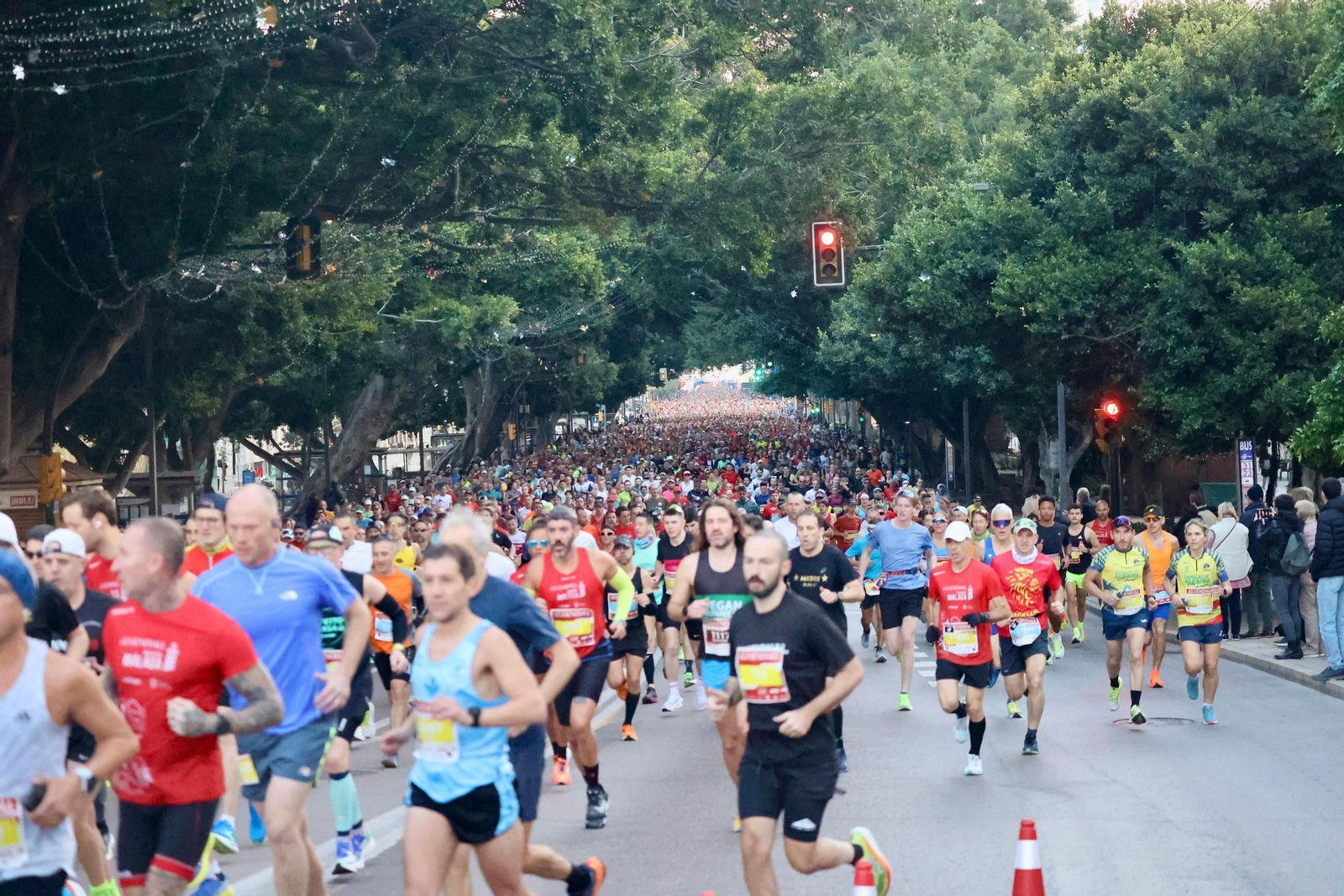 Las mejores fotos de la Maratón de Málaga 2024