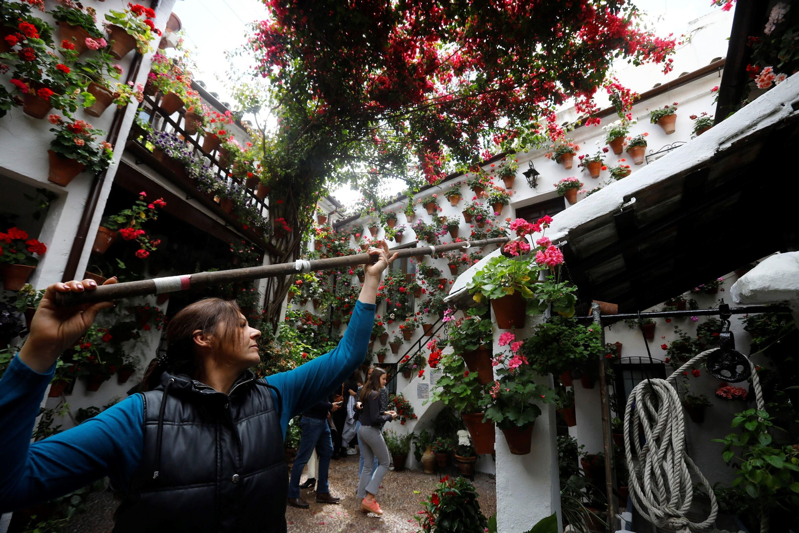 Los últimos preparativos en los Patios de Córdoba para el concurso, en imágenes
