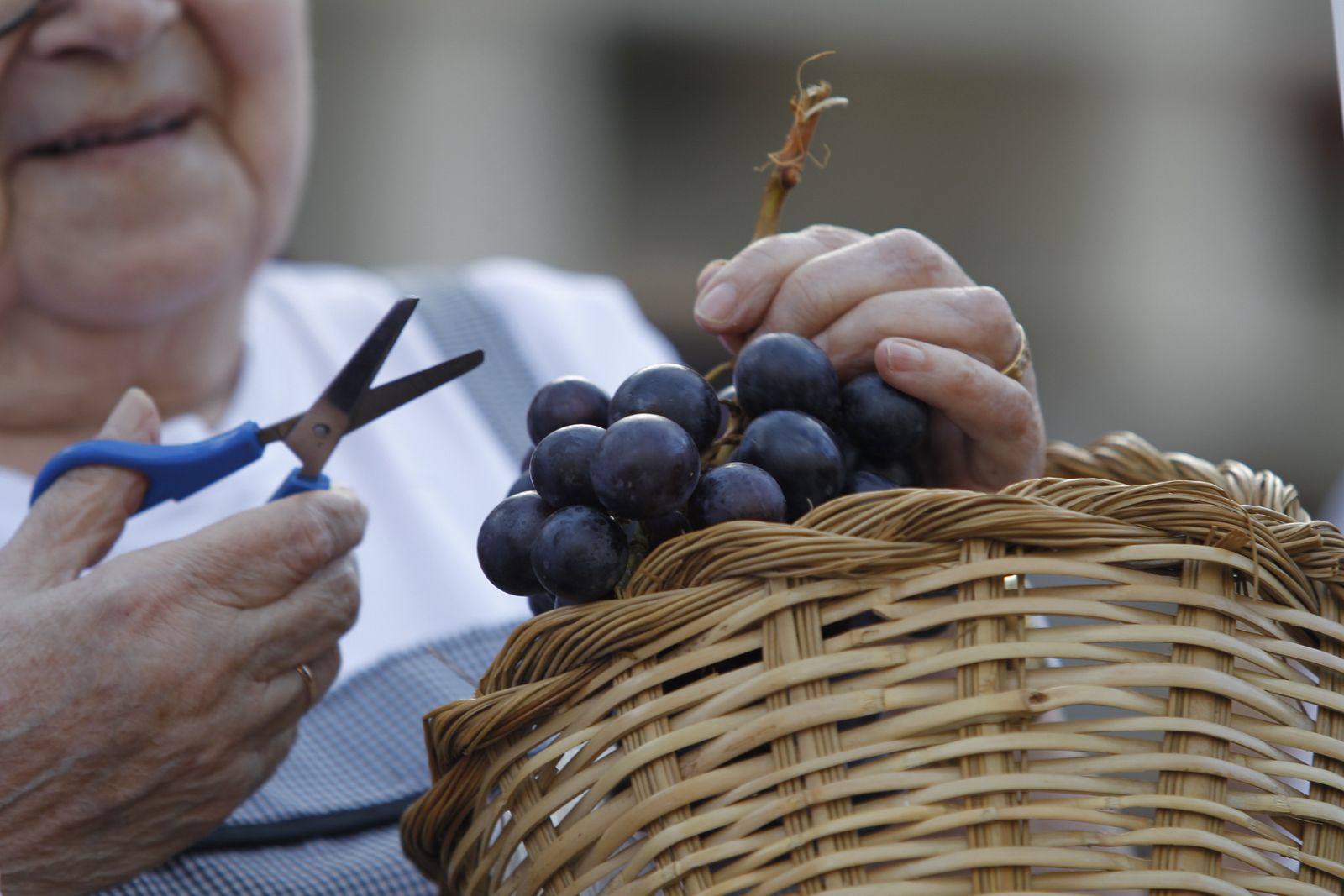 Fotogalería 42º Festival de Teatro de El Ejido