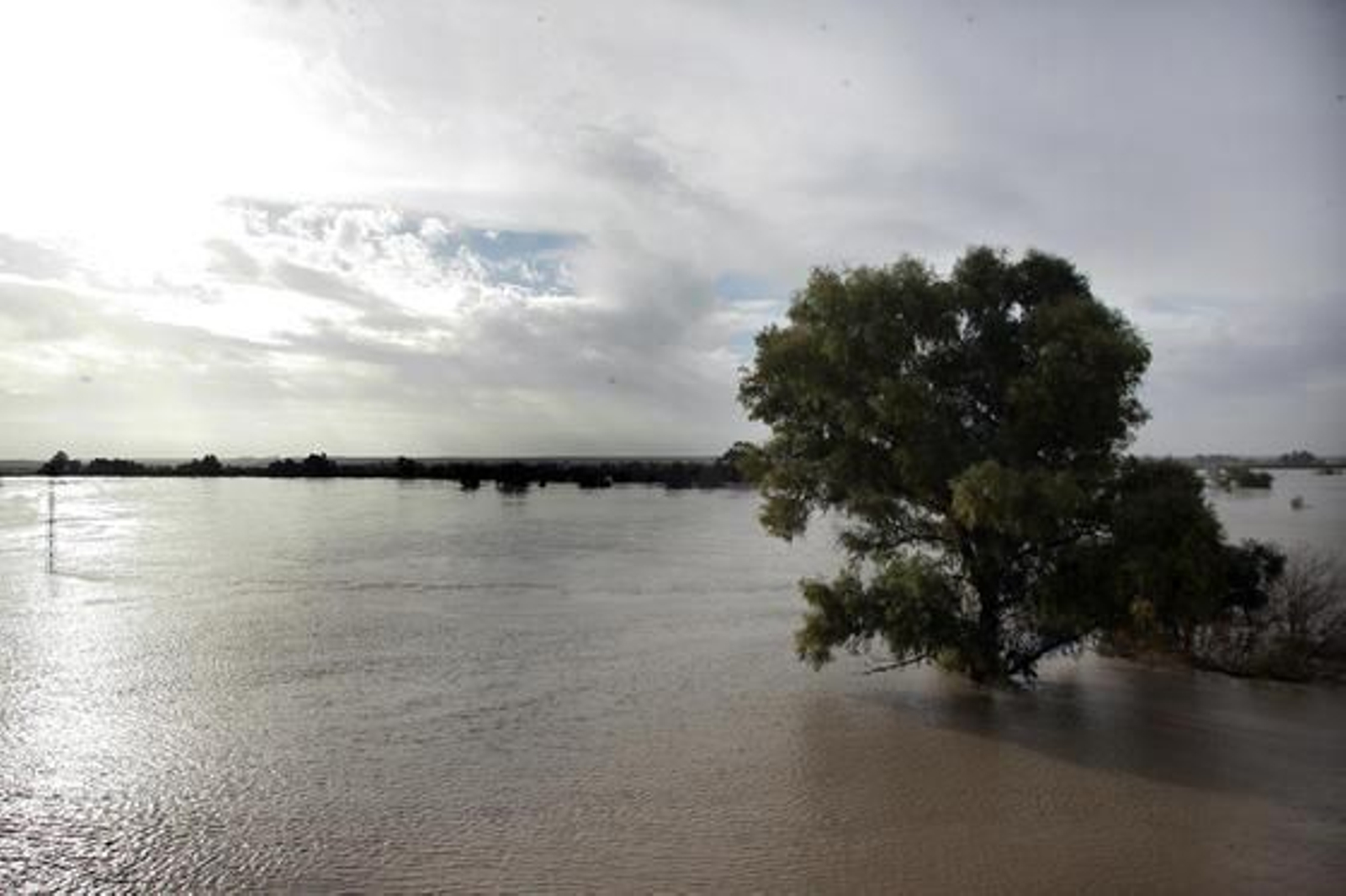 El Río Guadalquivir se desborda a su paso por Lora del Río./ J.C Muñoz