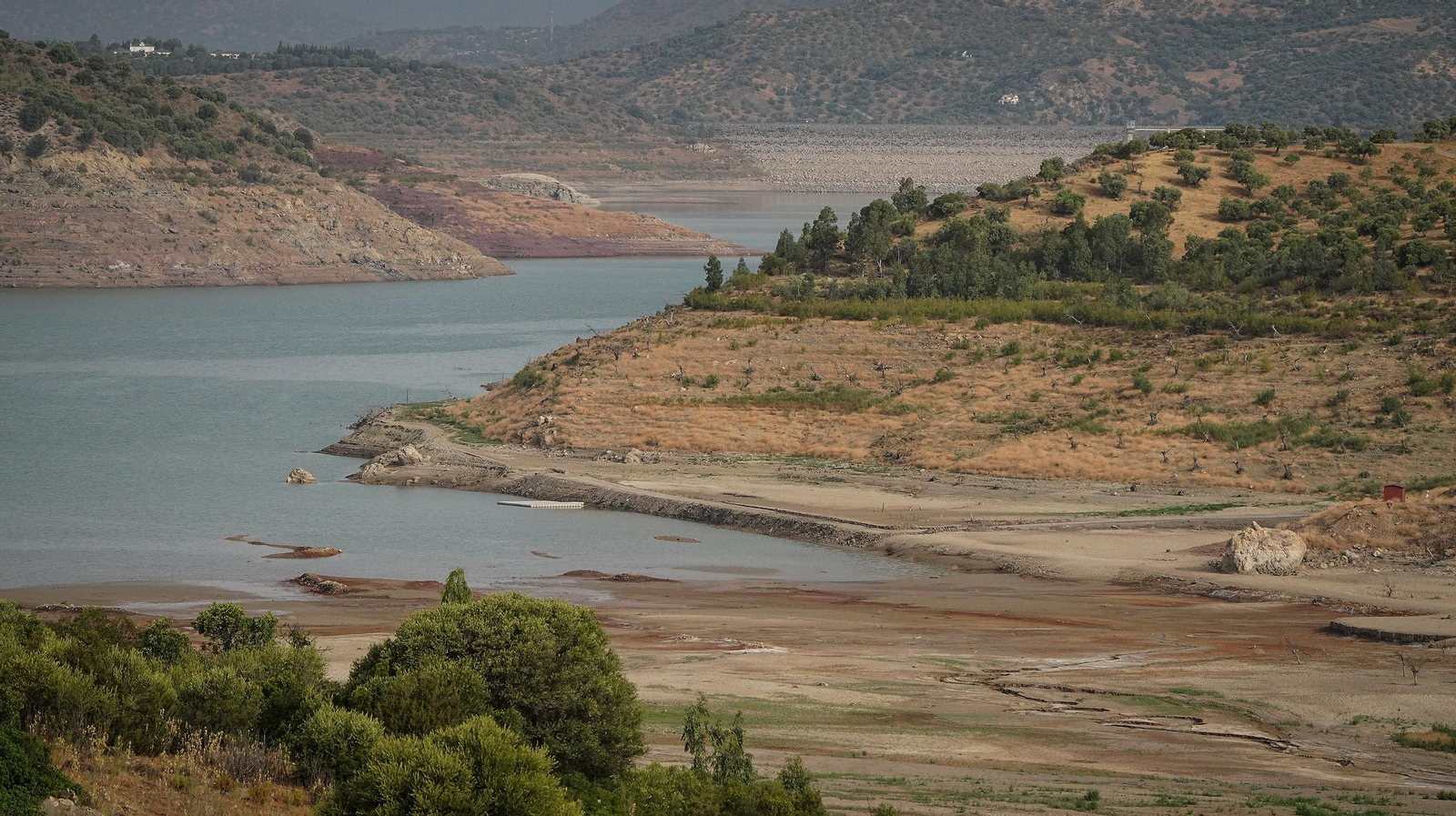 Así se encuentran algunos embalses de la provincia