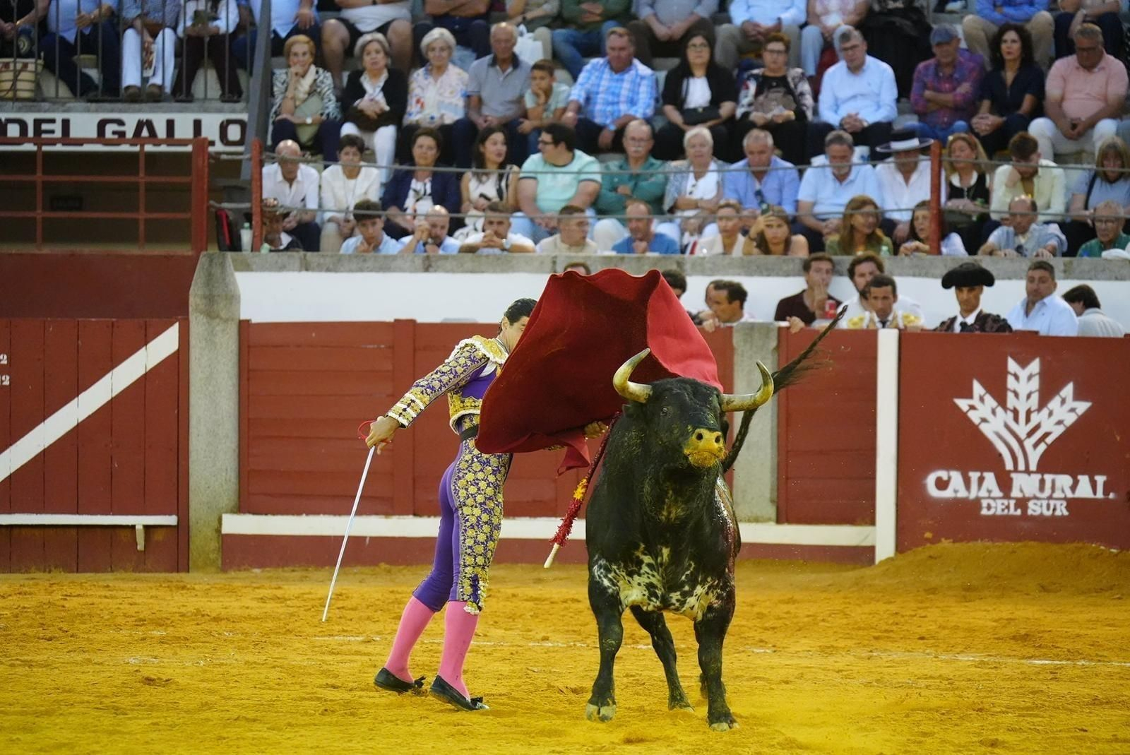 Las mejores imágenes de las corridas de toros de la Feria de Pozoblanco