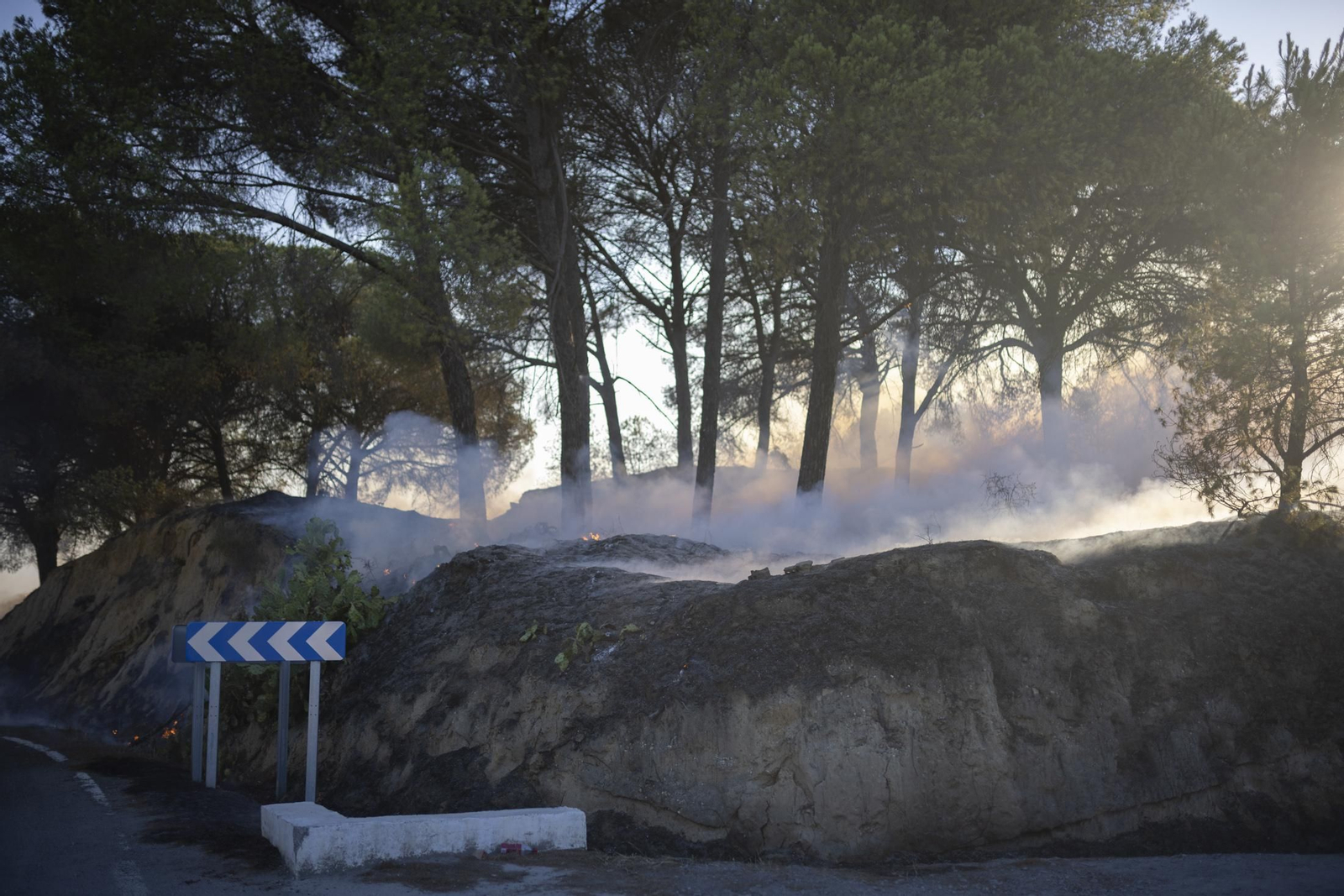 Imágenes del incendio de Bonares