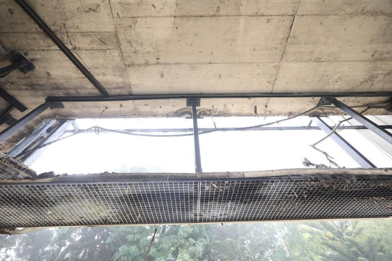 Imágenes del abandono de la pérgola del parque Genovés de Cádiz