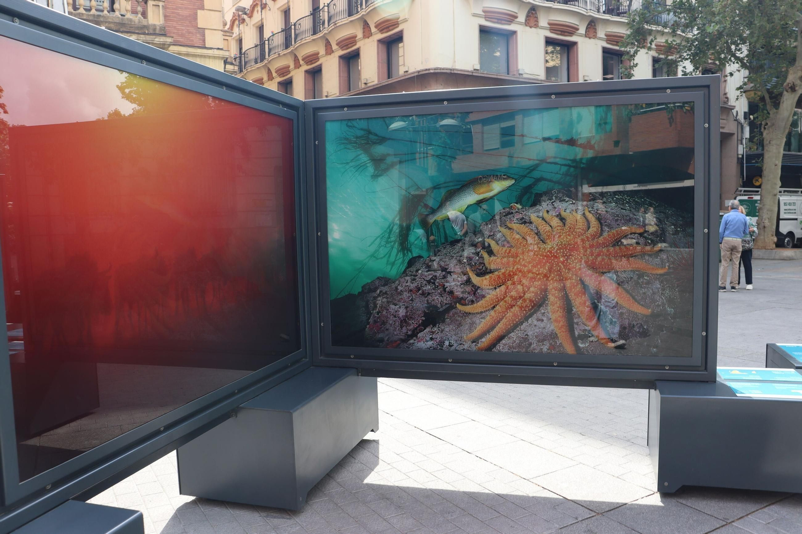 La exposición 'Colores del mundo', en imágenes