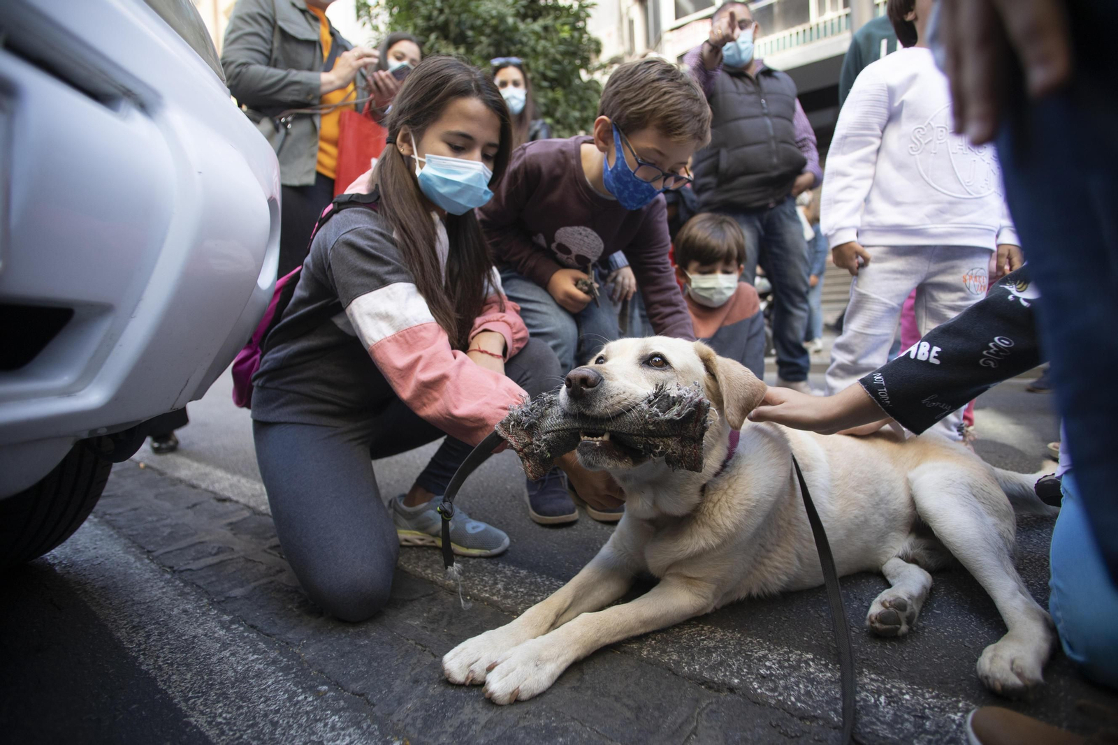 Fotos: La vuelta del Día sin Coche de Granada en imágenes