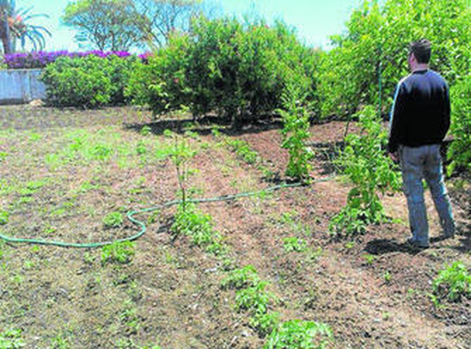 Uno de los huertos urbanos de Casares.