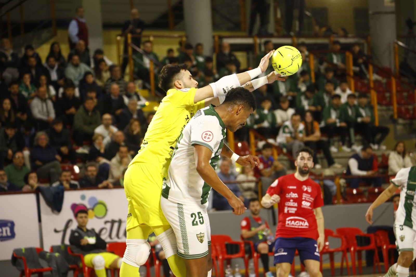 Las mejores fotos del Córdoba Futsal - Osasuna Magna en Vista Alegre