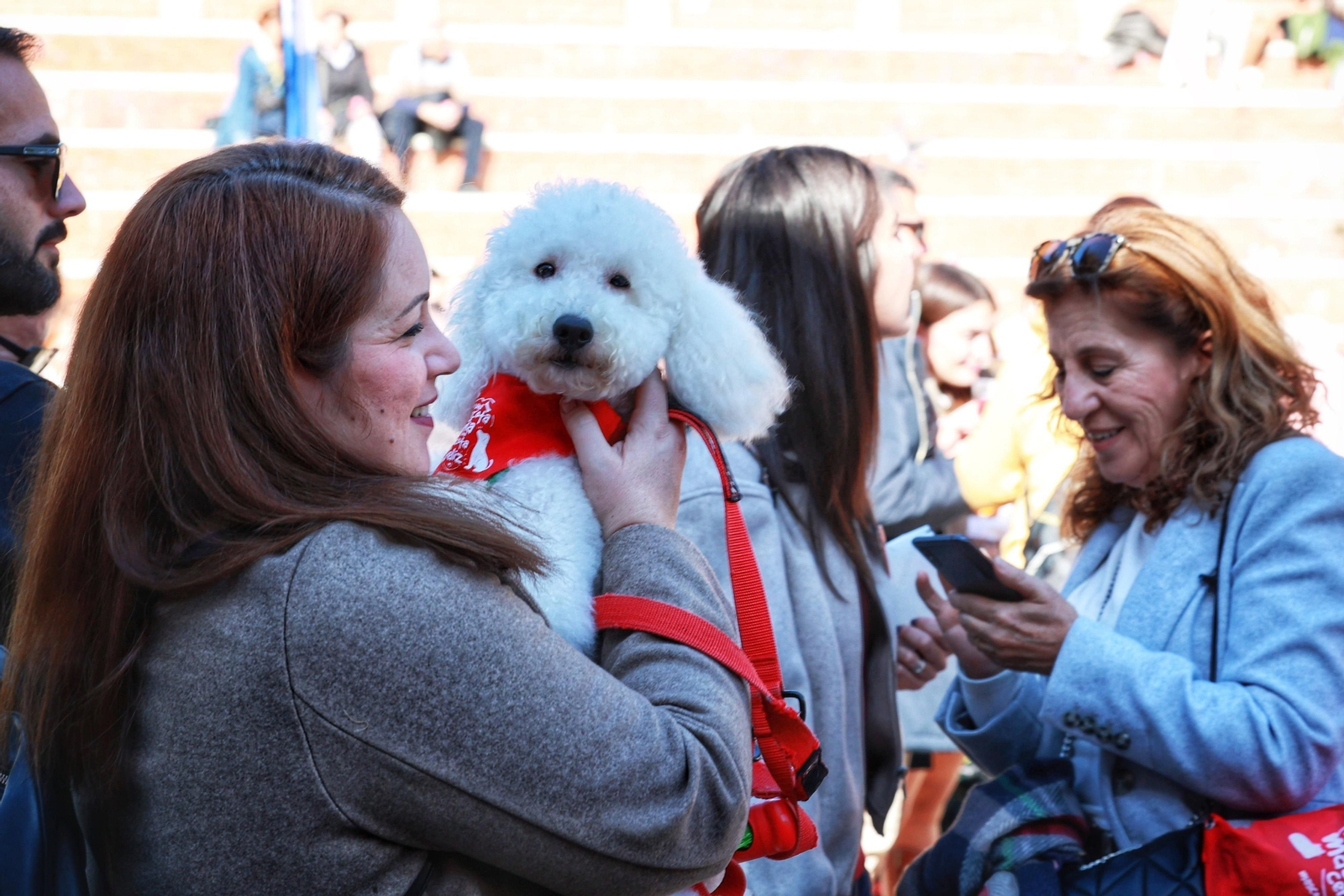 San Fernando celebra la fiesta de San Antón en el Parque
