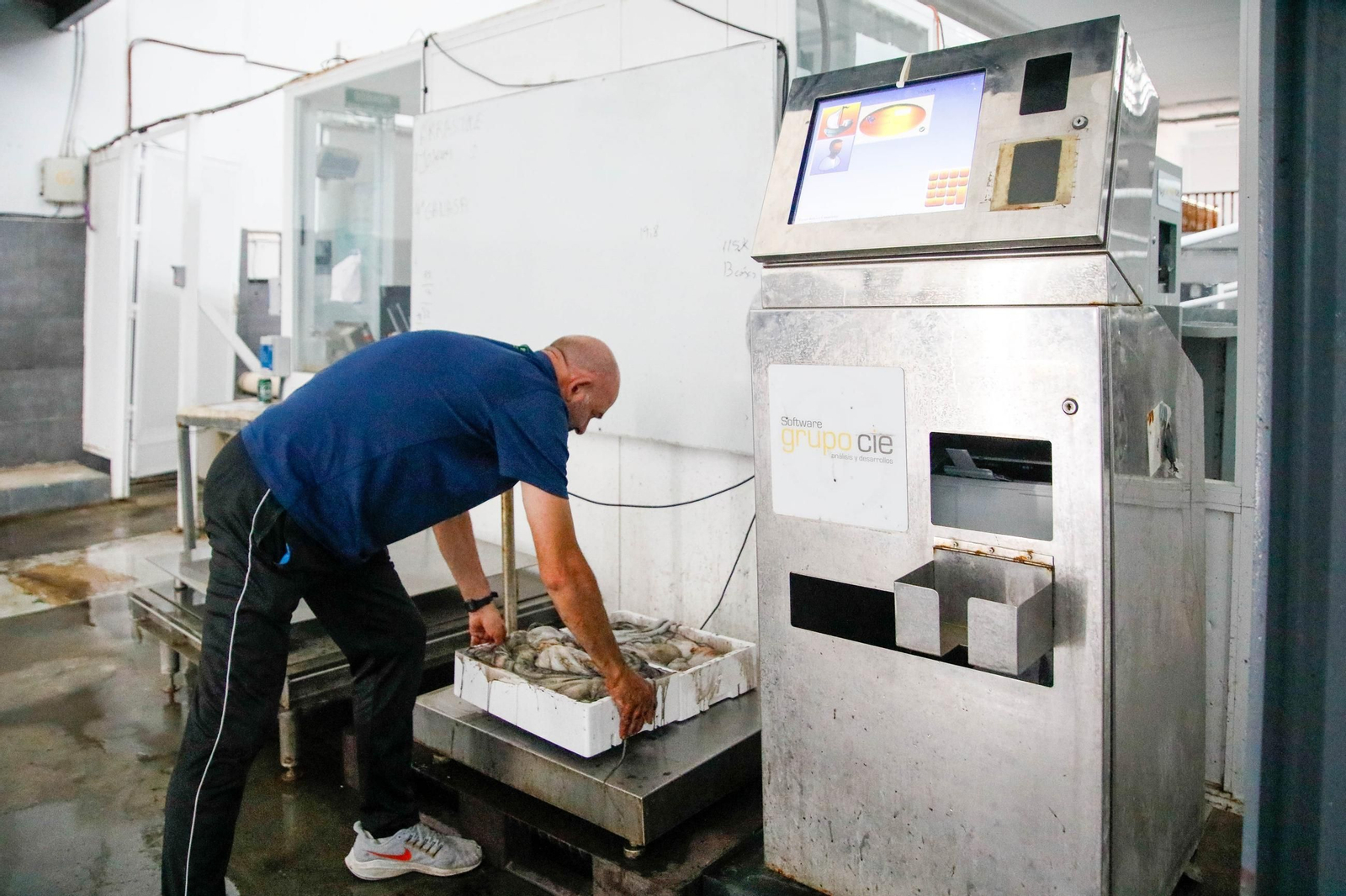 Vea cómo es la captura de pulpo en Adra, un manjar gastronómico