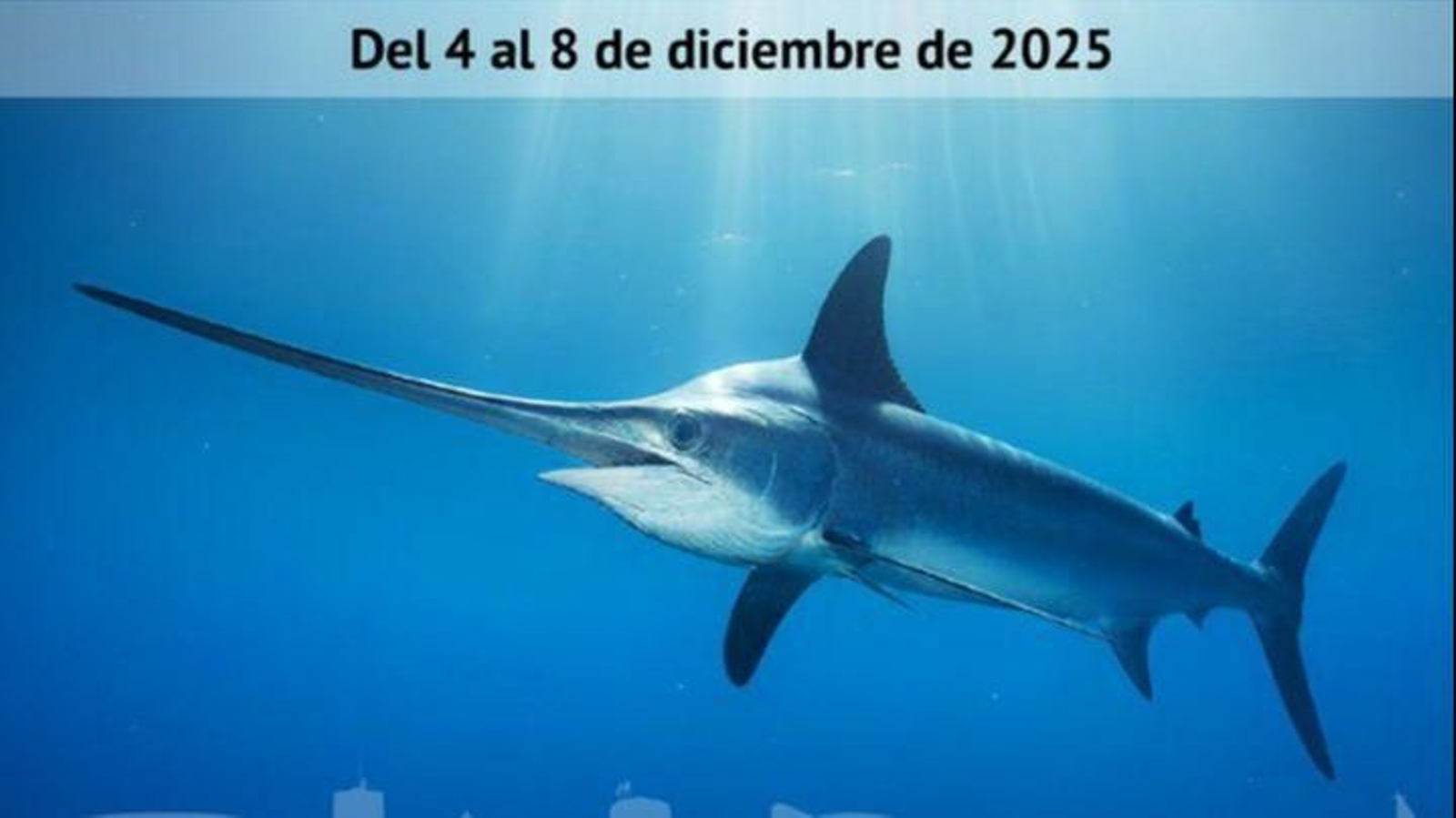 Arrancan las I Jornadas Gastronómicas del Pez Espada de Roquetas de Mar.