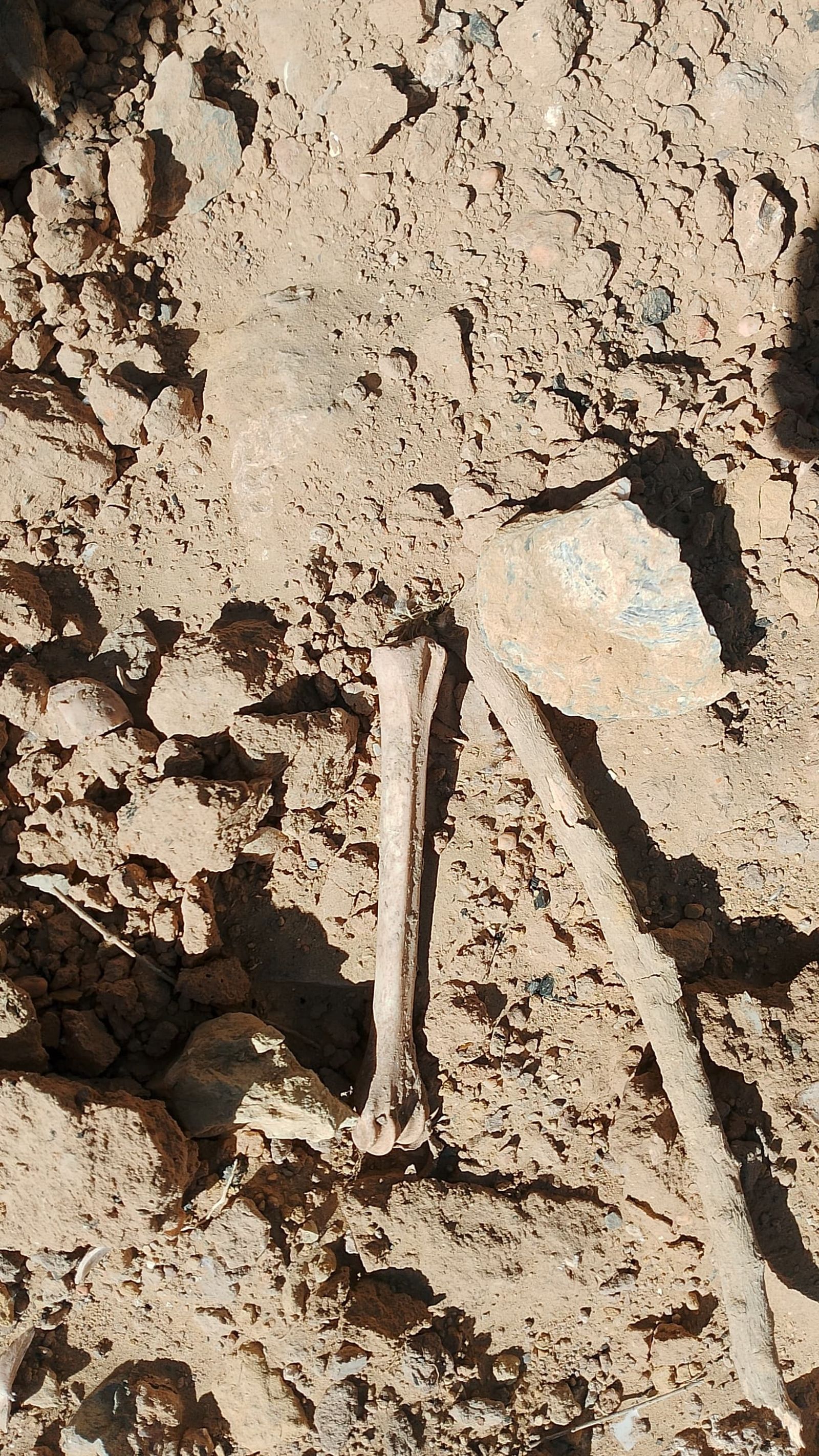 Restos arqueológicos aparecidos en el cabezo de San Pedro de Huelva.