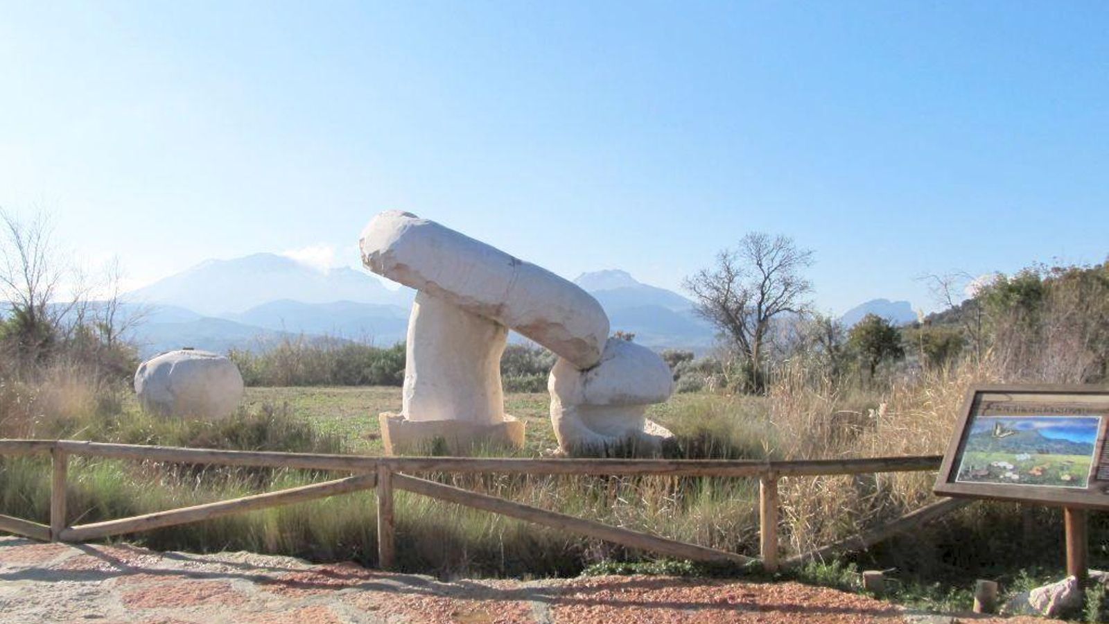 Hongos gigantescos en el Jardín La Trufa