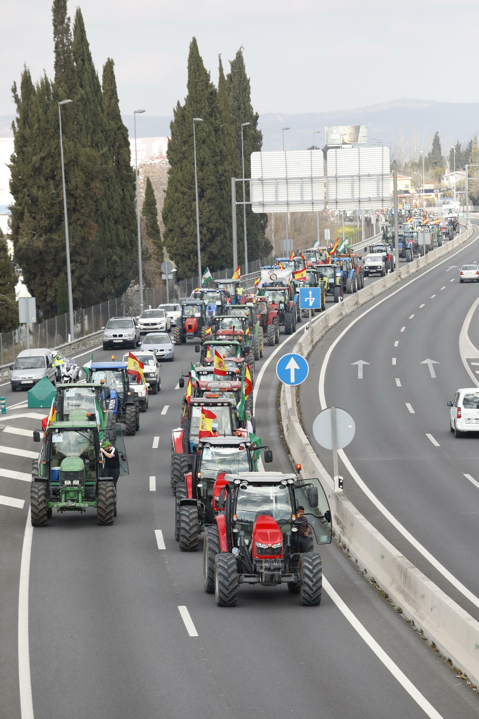 Curiosidades: las mejores fotos de la manifestación del campo en Granada
