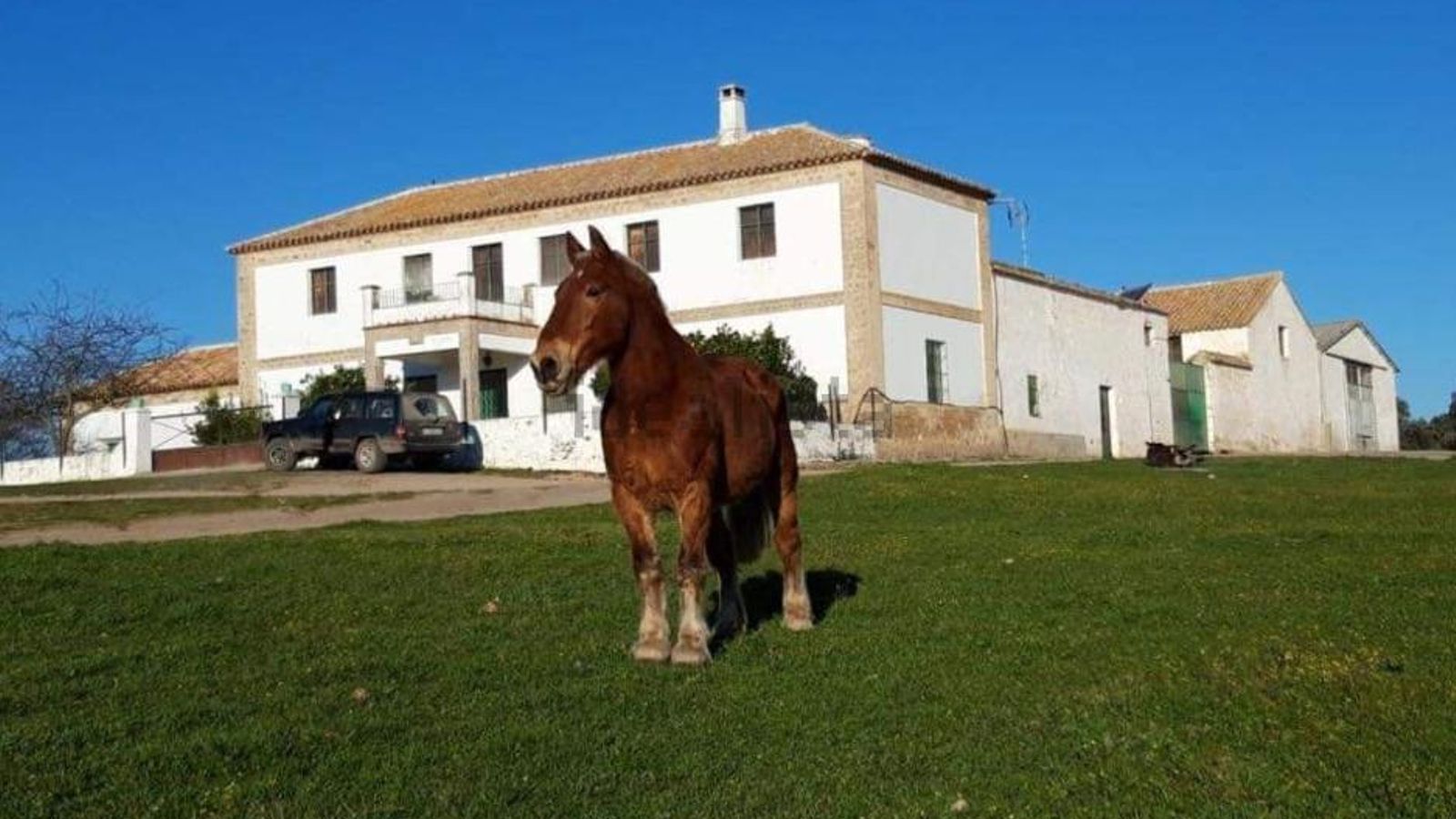 Finca rústica de Andújar. Idealista.