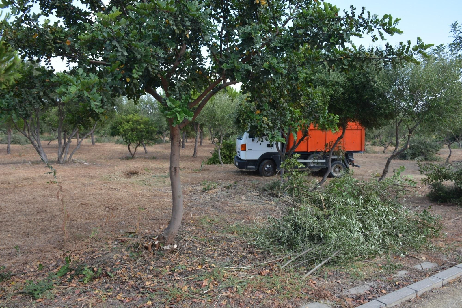 Desbroce y limpieza en el parque para la instalación del área recreativa.