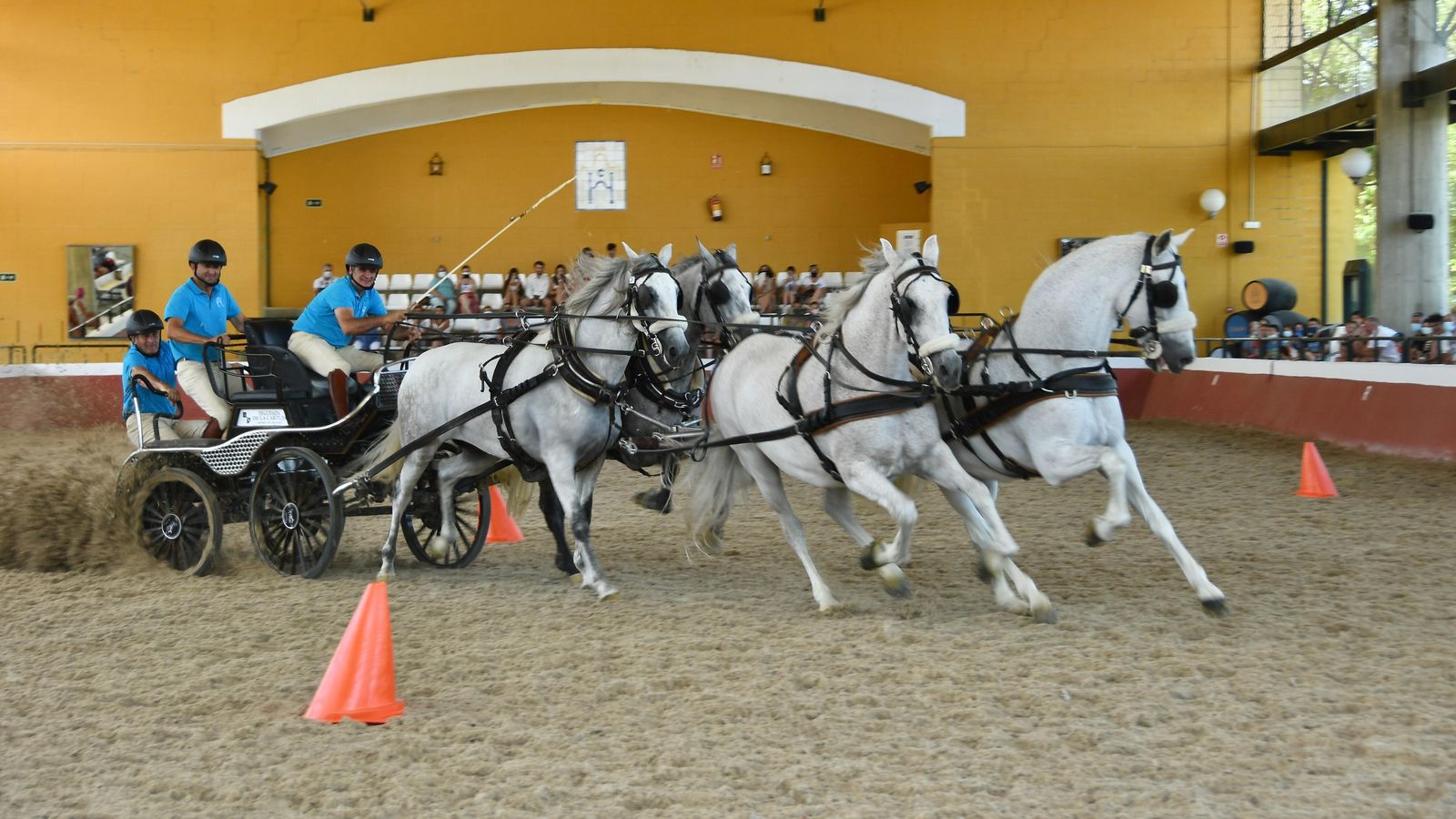 Yeguada Cartuja Hierro del Bocado Yeguada Cartuja Hierro del Bocado