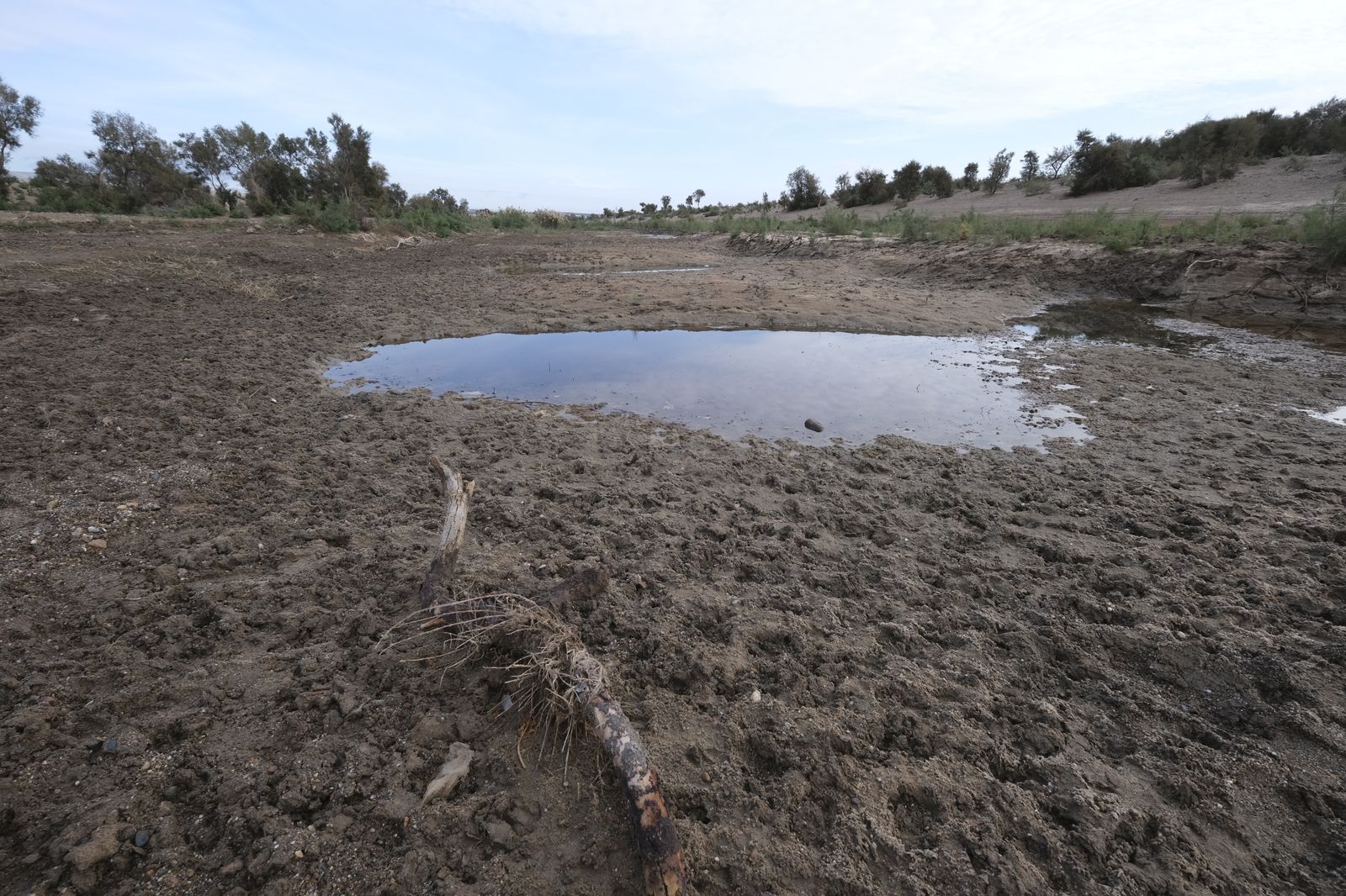 Restauración paisajística de la Rambla Morales, Cabo de Gata. Almería