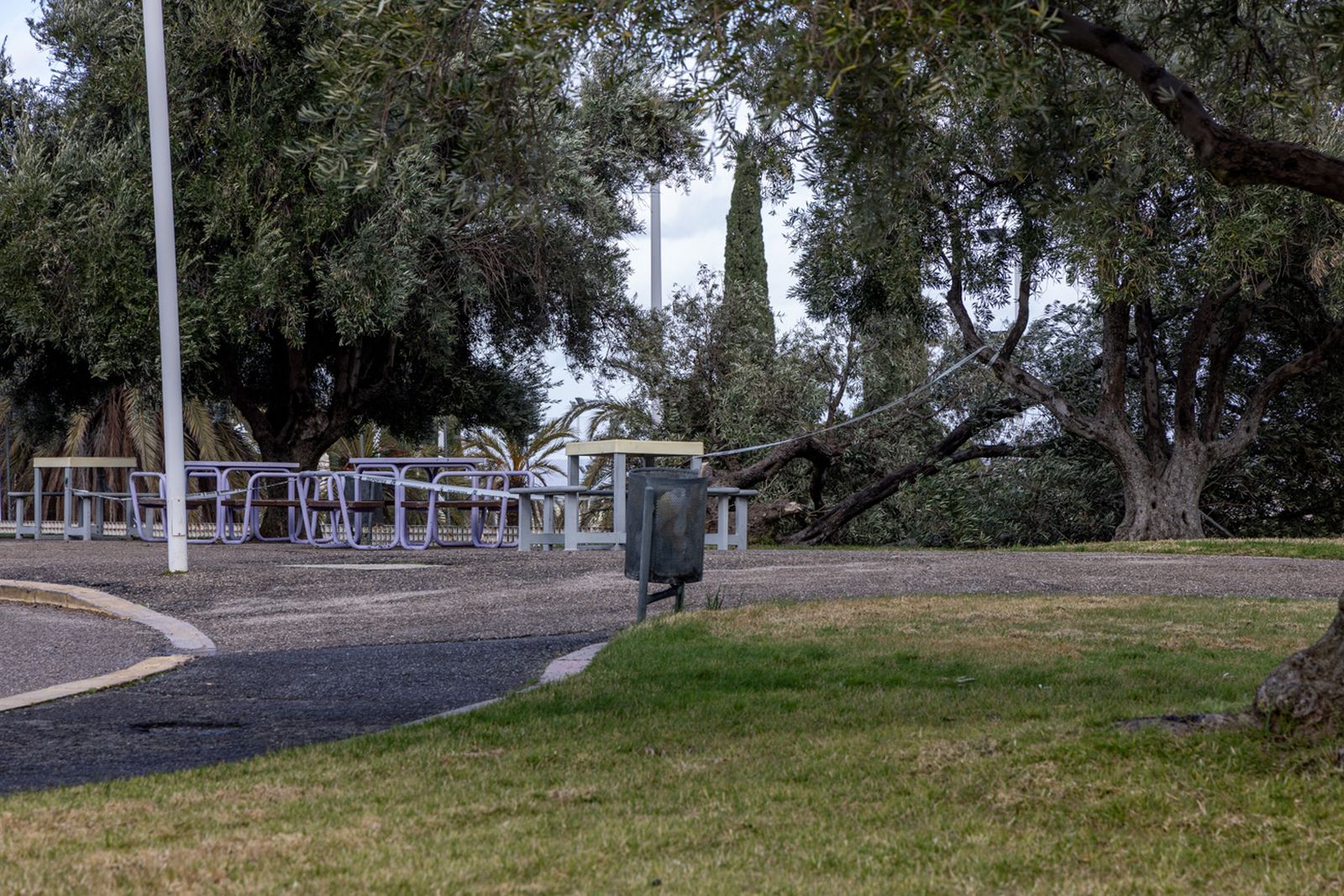 Las fuertes rachas de viento de la borrasca Leonardo dejan estas imágenes en Jaén