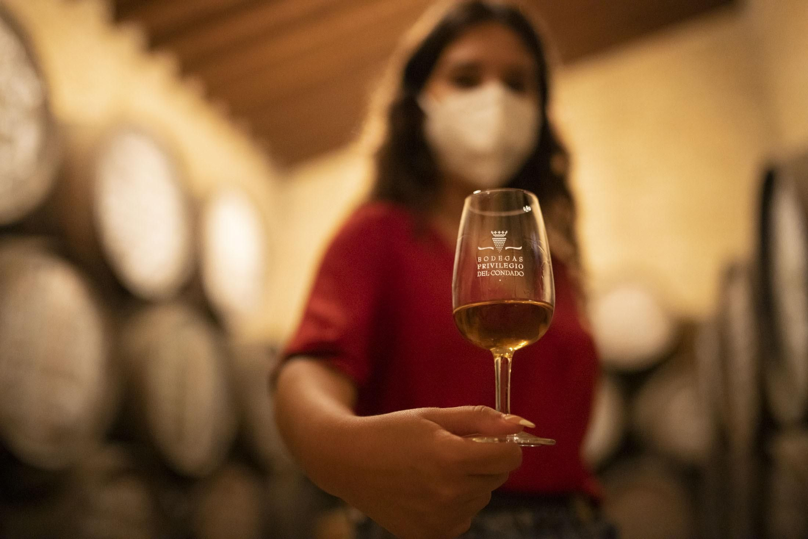 Imágenes de la vendimia en el Condado de Huelva