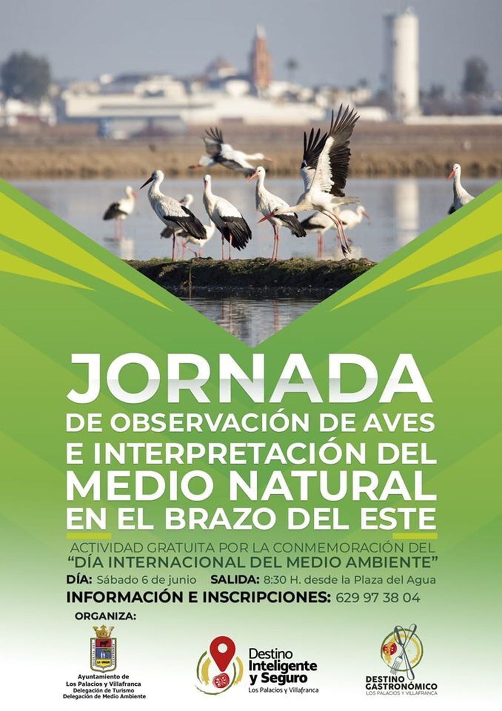 Cartel de la Jornada de observación de aves e interpretación del medio natural.
