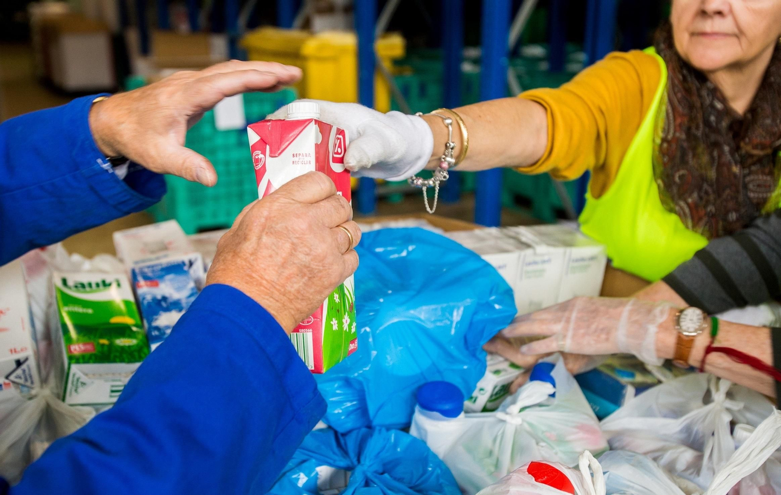 Un momento de la campaña de recogida de leche