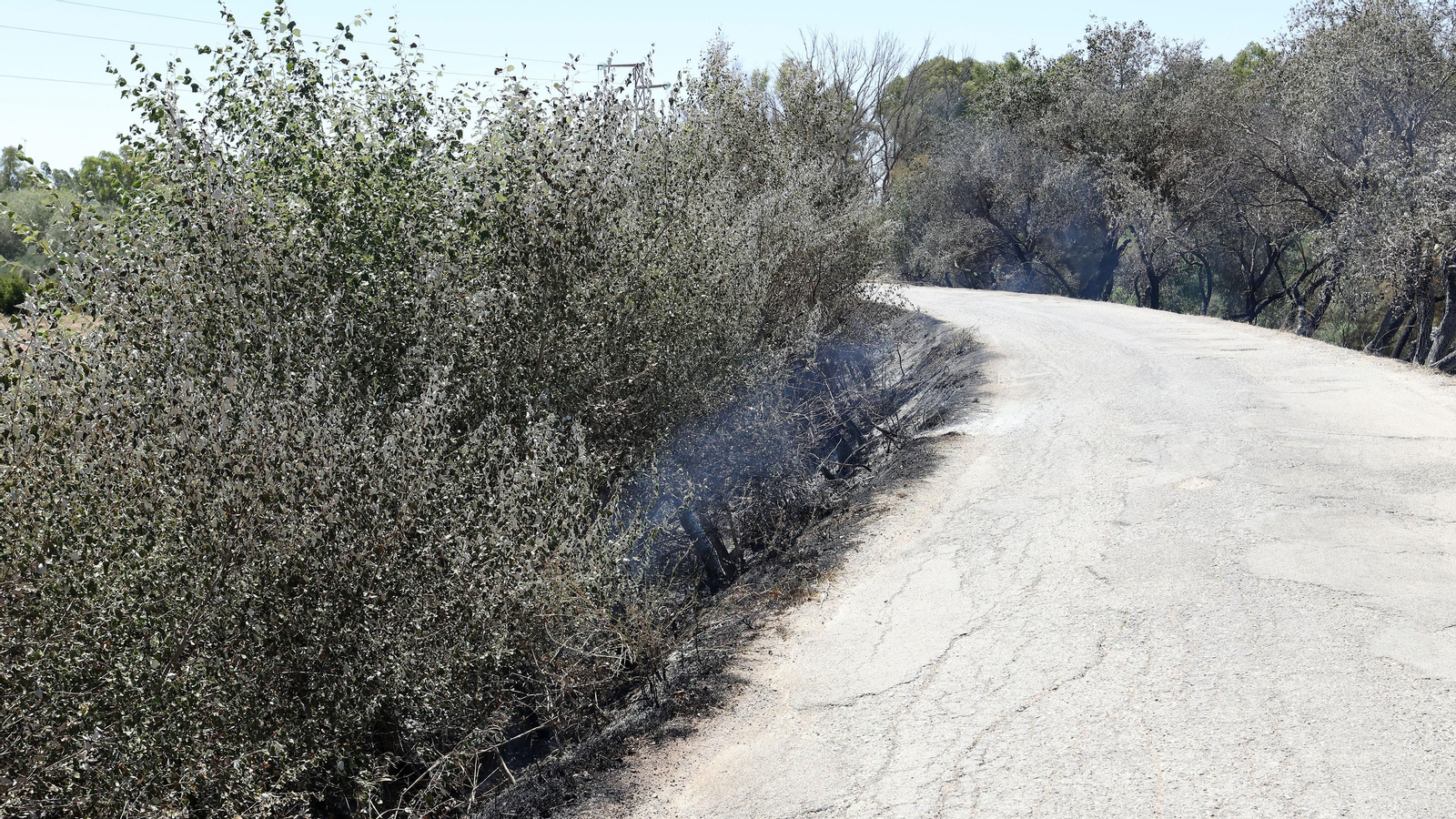 Infoca refresca la zona del incendio en La Ina
