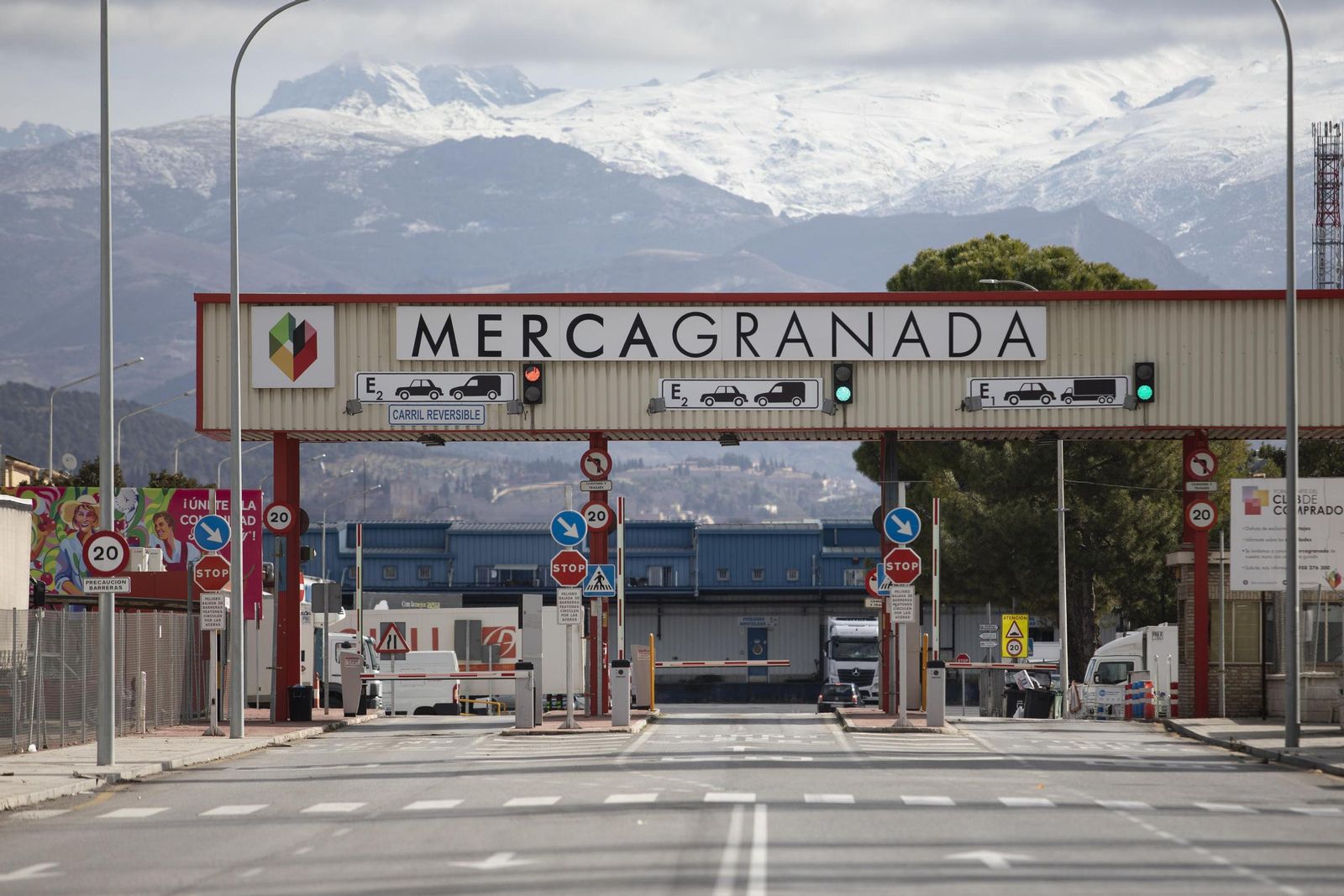 Instalaciones de Mercagranada.