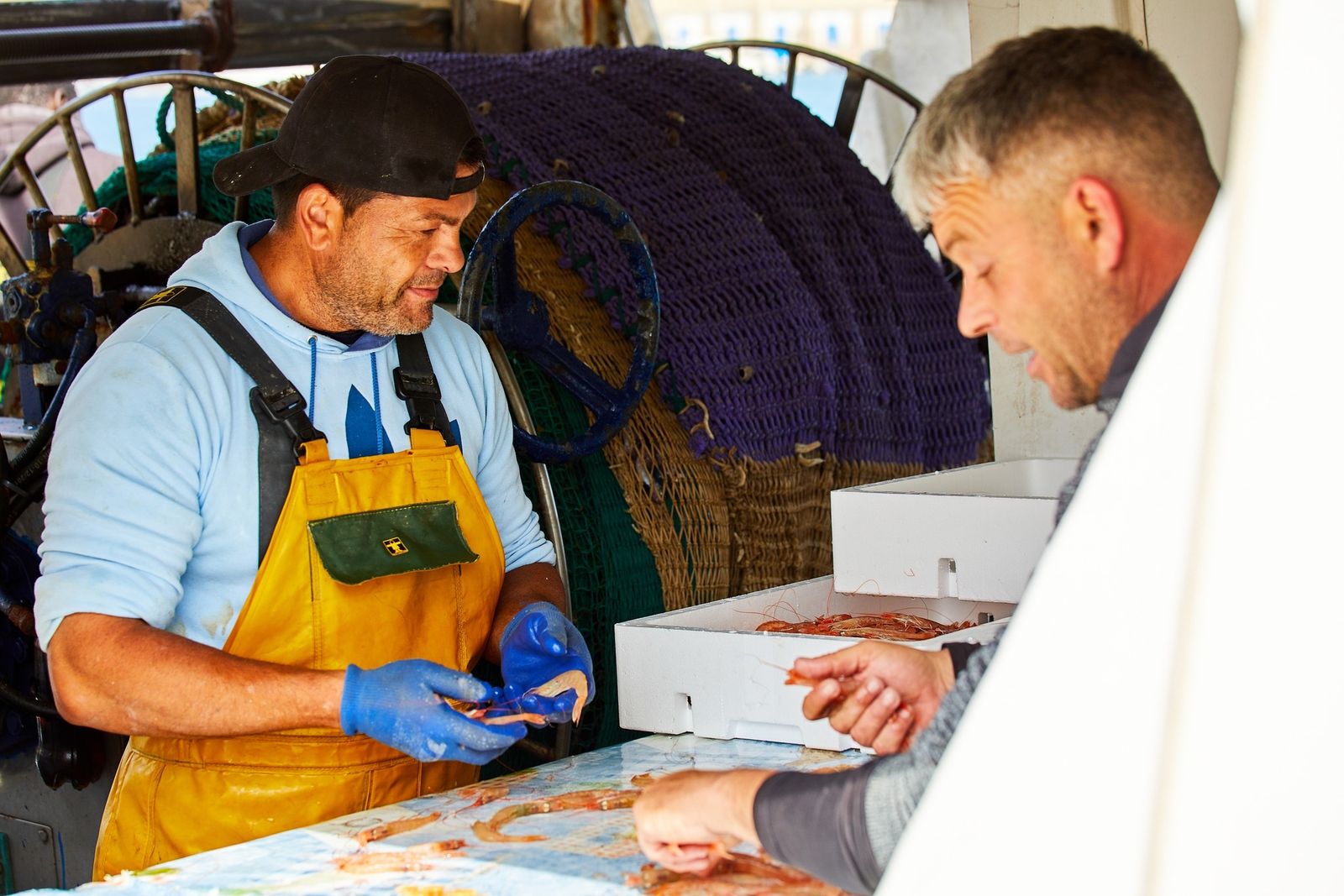 Pescadores de Carbopesca, con gamba roja de la costa levantina recién capturada.