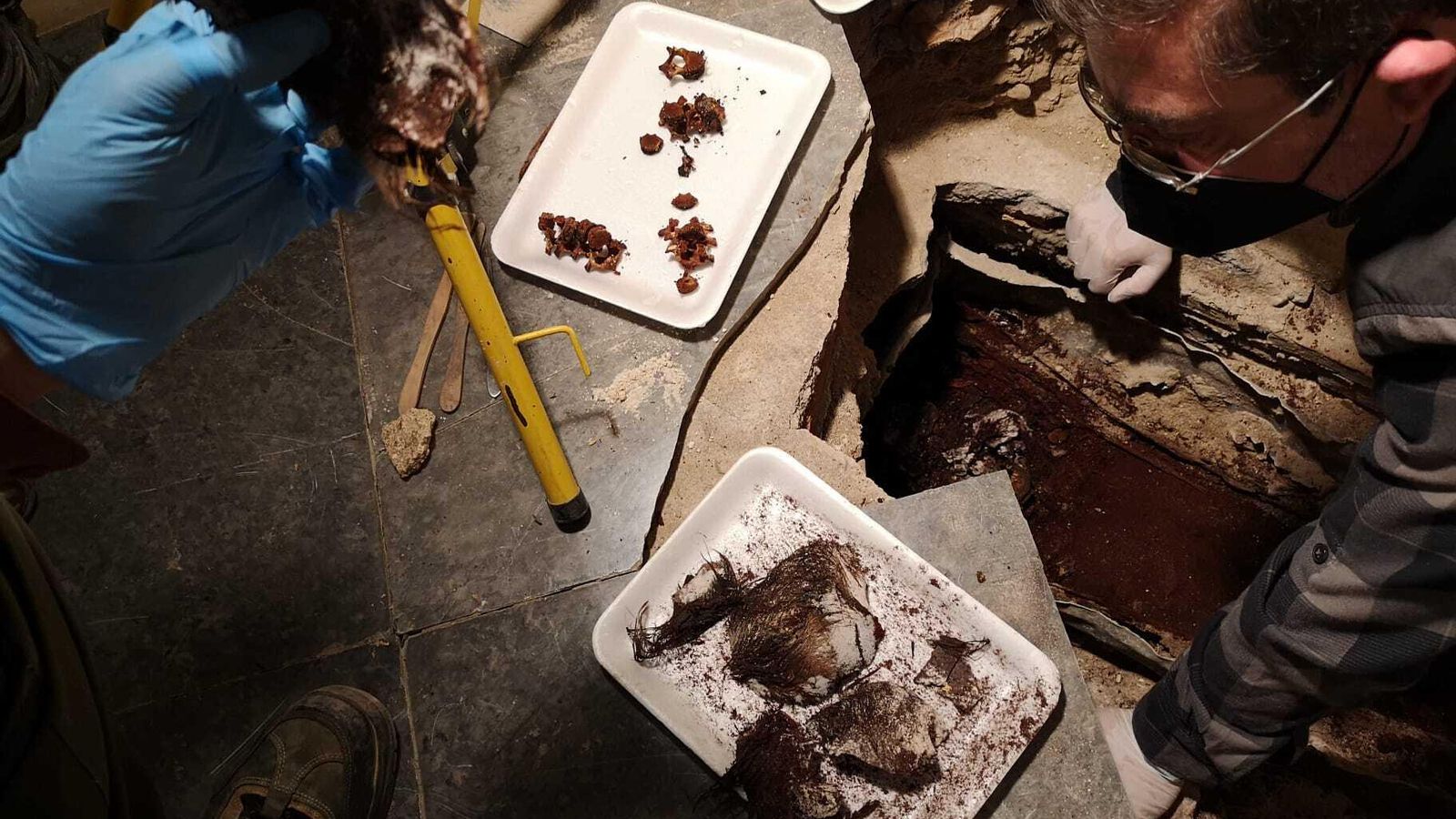 El profesor Tabales observa los restos del cráneo tras la extracción.