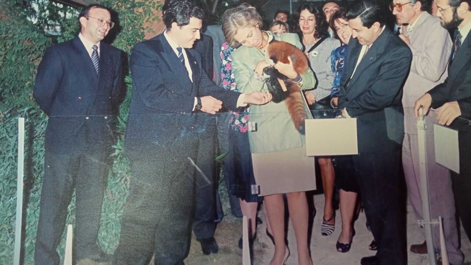 En 1992 y durante la Expo de Sevilla, compañeros del Zoo se trasladaron al Pabellón de la Naturaleza. Ell entonces director, Manuel Barcell; el veterinario, José María Aguilar y Juan Carlos Fabregat, del departamento de Educación, presentaron a Su Majestad la Reina, doña Sofía, el primer panda rojo nacido en el parque, que recibió el nombre de Curro.