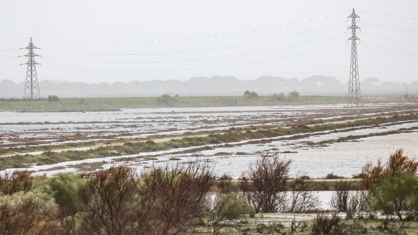Imágenes de los principales destrozos provocados por la borrasca Leonardo en Cádiz