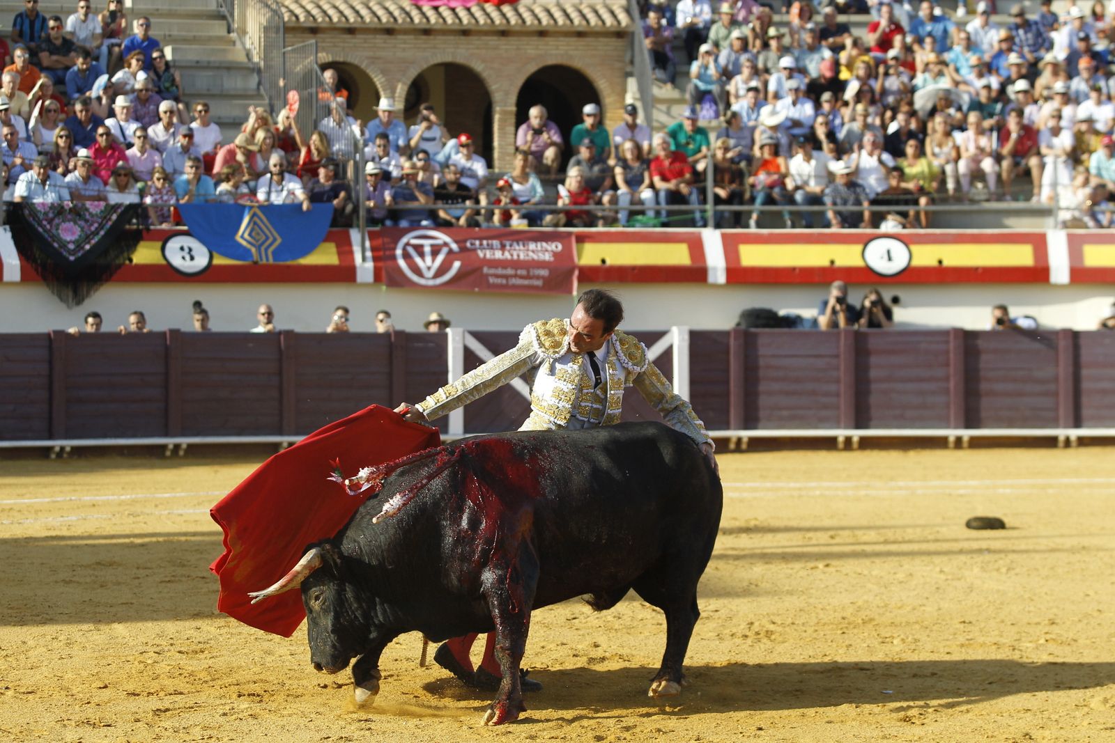 Fotogalería corrida de toros. Fiestas de Vera