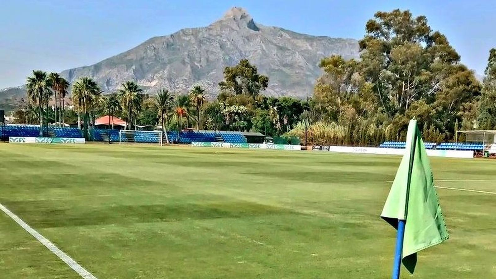 La Dama de Noche de Marbella.