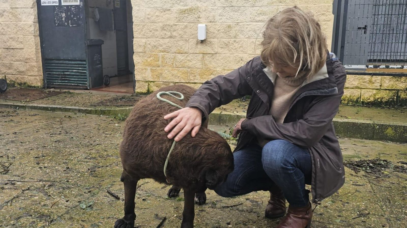 La delegada Carmen Pina con uno de los perros acogidos por la crecida del río en la zona rural de Jerez.