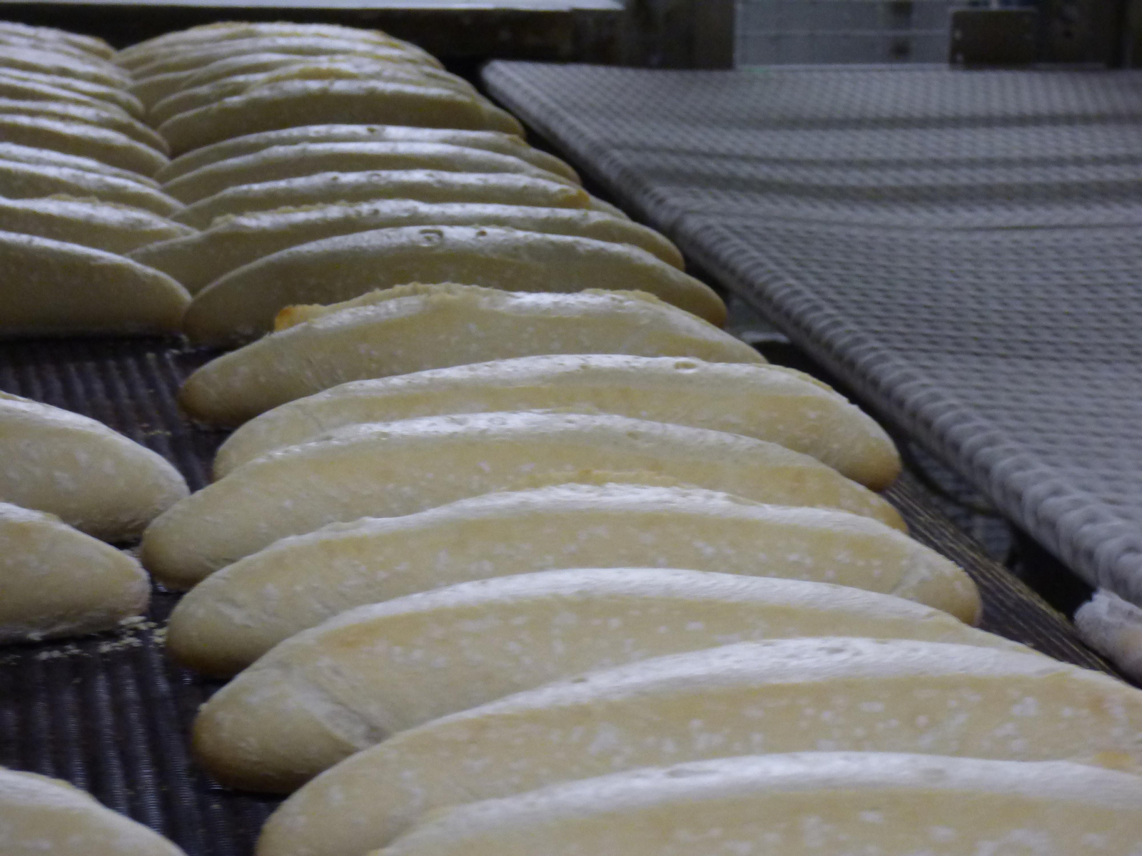 Piezas de pan tras su horneado.