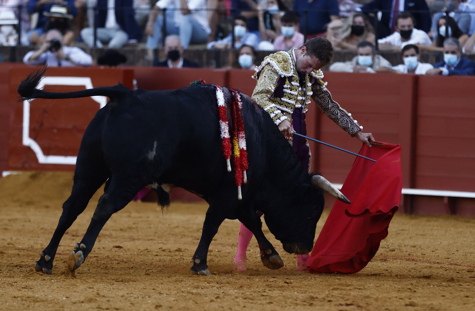 Fotos de la segunda novillada de la feria de San Miguel de Sevilla
