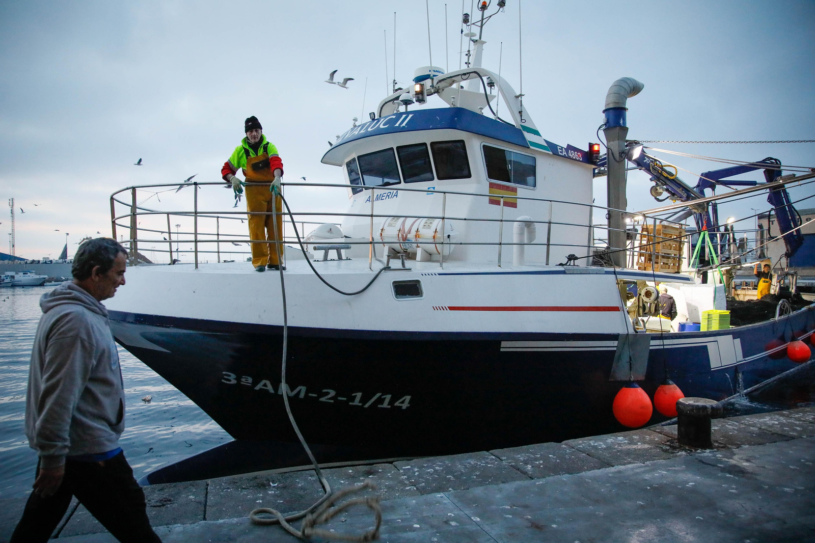 Te contamos en imágenes como ha sido la descarga de las traiñas en la lonja de Almería